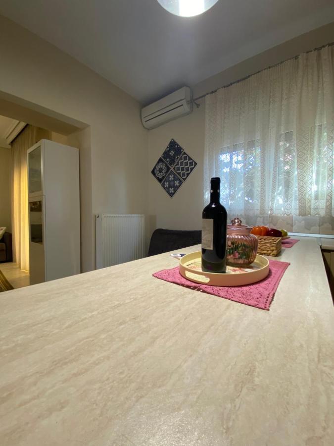 Cozy&Quiet mini City Apartment Tríkala Zewnętrze zdjęcie