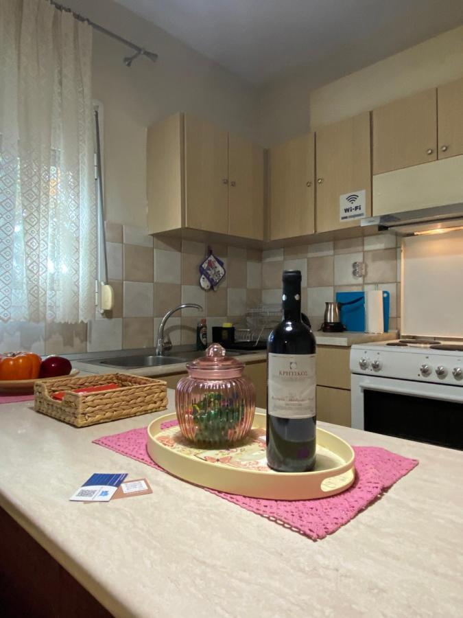 Cozy&Quiet mini City Apartment Tríkala Zewnętrze zdjęcie