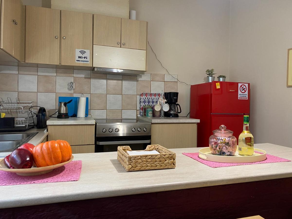 Cozy&Quiet mini City Apartment Tríkala Zewnętrze zdjęcie