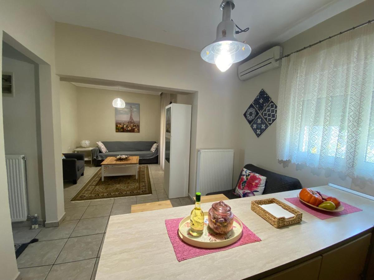 Cozy&Quiet mini City Apartment Tríkala Zewnętrze zdjęcie