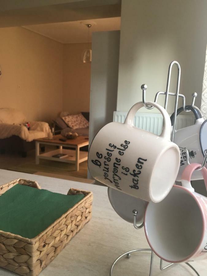 Cozy&Quiet mini City Apartment Tríkala Zewnętrze zdjęcie